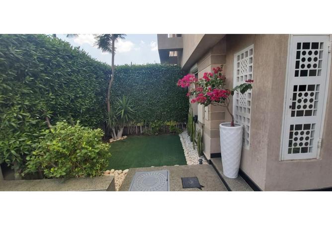 8529374 - Property Image 2