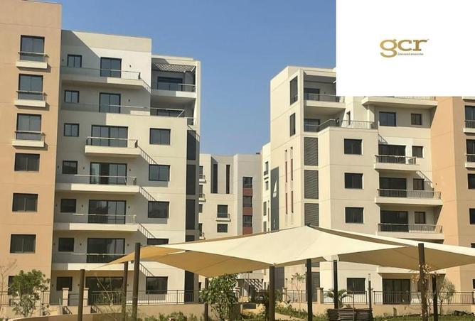 8347593 - Property Image 3