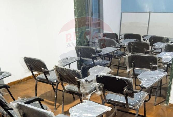 6706642 - صورة العقار 3