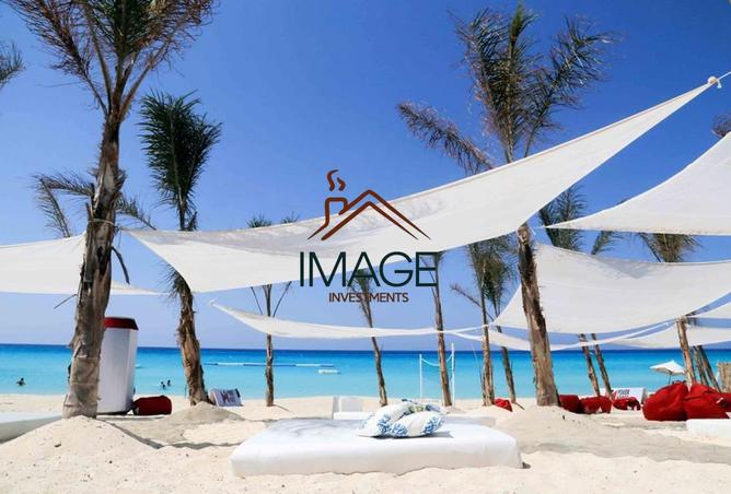 8229588 - Property Image 3