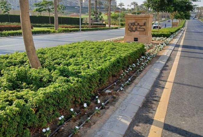 8359499 - صورة العقار 2