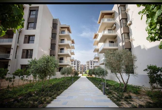 8119596 - Property Image 3