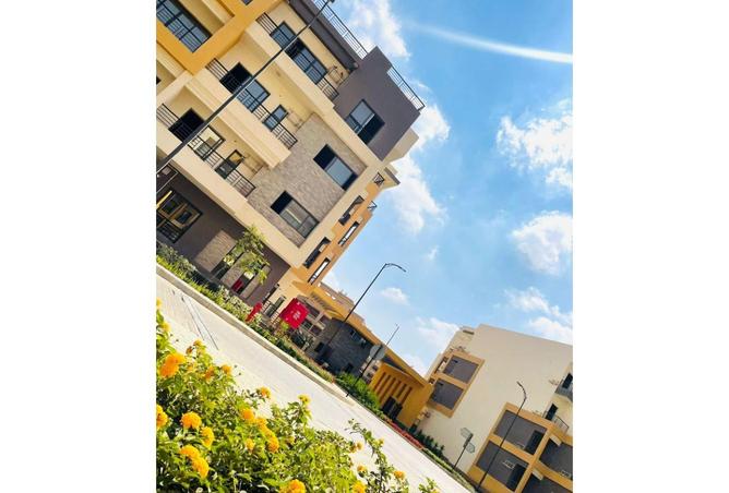 8011336 - Property Image 3
