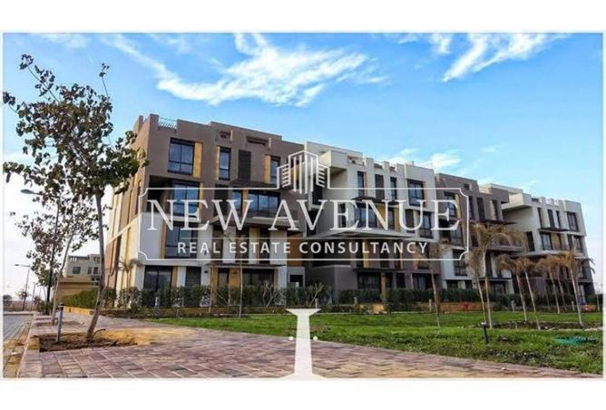 8265162 - Property Main Image