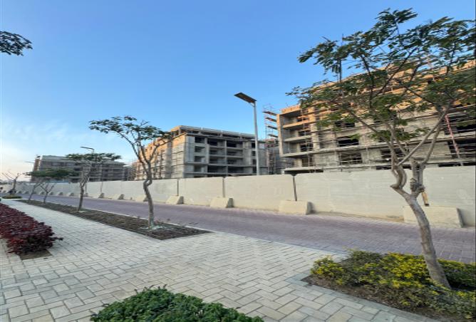 7971007 - صورة العقار 3