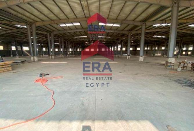 8016781 - الصورة الرئيسية للعقار