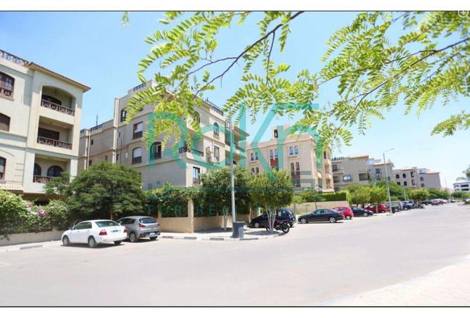 7901605 - صورة العقار 3