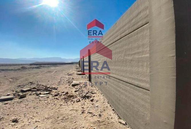 8207482 - Property Image 2