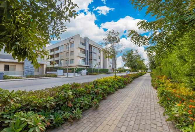 8120996 - Property Image 3