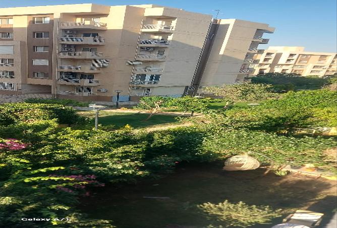 7970005 - Property Image 3