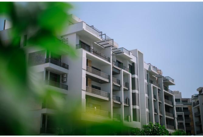 8420050 - Property Image 3