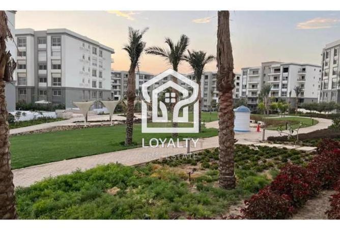 8162709 - صورة العقار 3