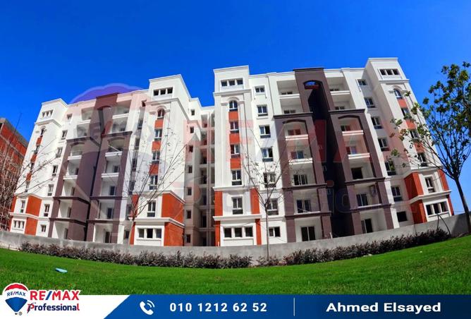 8062226 - صورة العقار 3