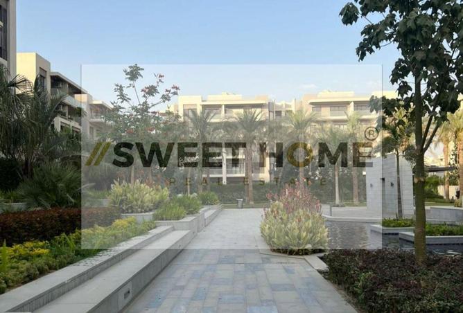 8517337 - Property Image 3