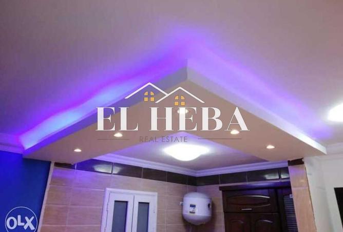 8280862 - Property Image 3