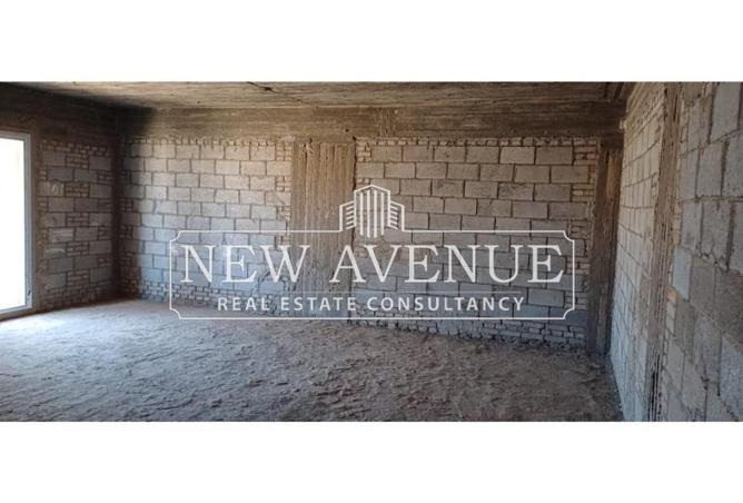 8430359 - Property Image 3