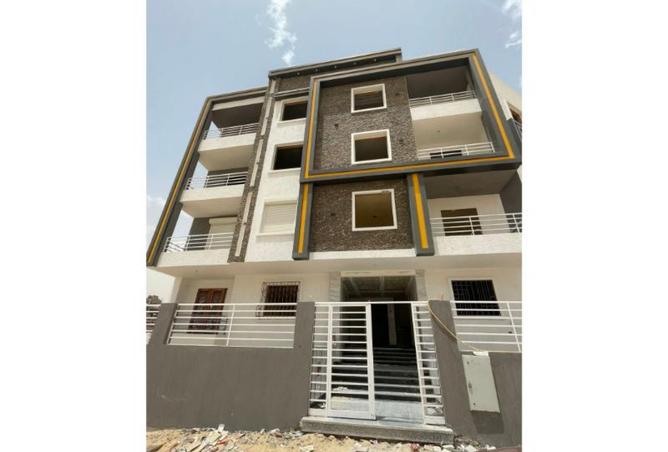 8381791 - Property Image 2