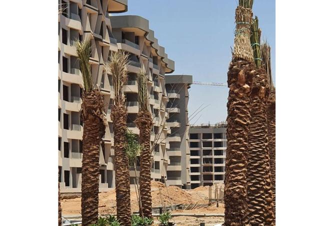 8347006 - Property Image 2