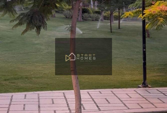 8538811 - صورة العقار 3