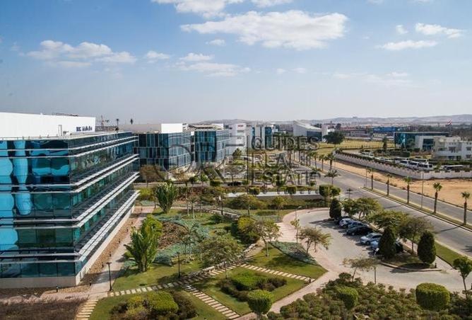 8169060 - الصورة الرئيسية للعقار