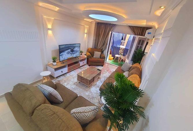 7962206 - Property Image 2