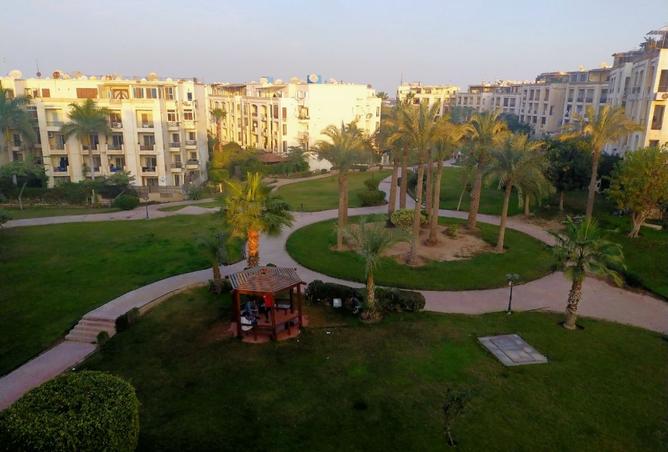 8177764 - Property Image 3