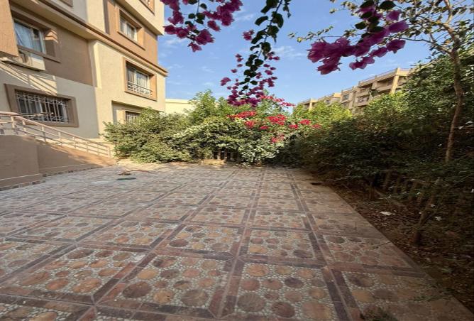 8356158 - صورة العقار 2