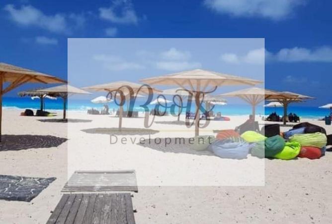 7816836 - Property Main Image