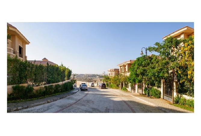 8215647 - Property Image 3