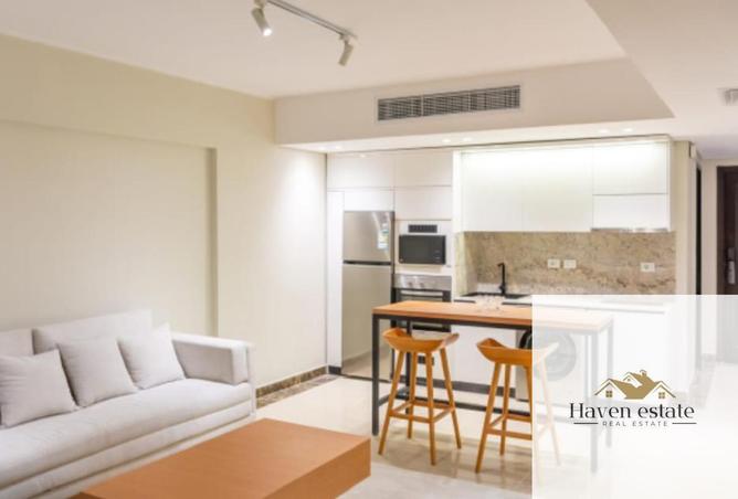 8527575 - Property Image 3