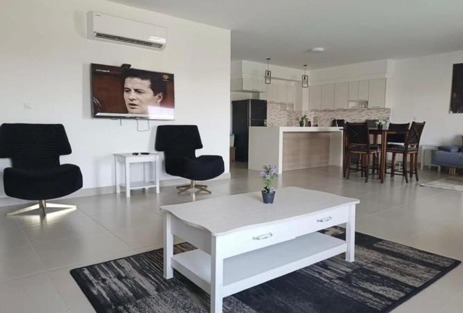 8417407 - Property Image 3