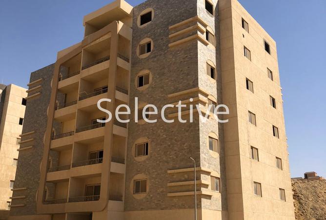 8130532 - صورة العقار 3