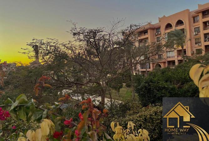 8100813 - Property Image 3
