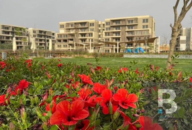 7901086 - الصورة الرئيسية للعقار