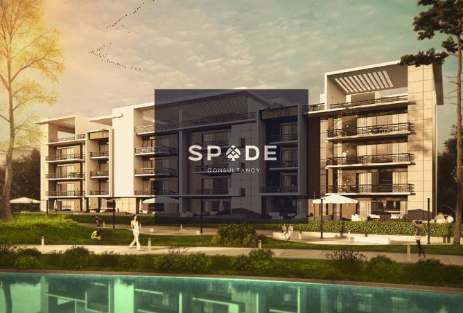 8375254 - Property Image 3