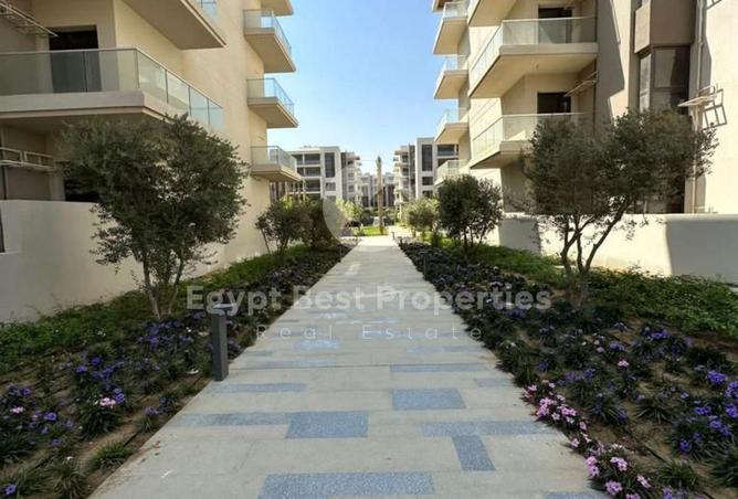 7967715 - صورة العقار 2