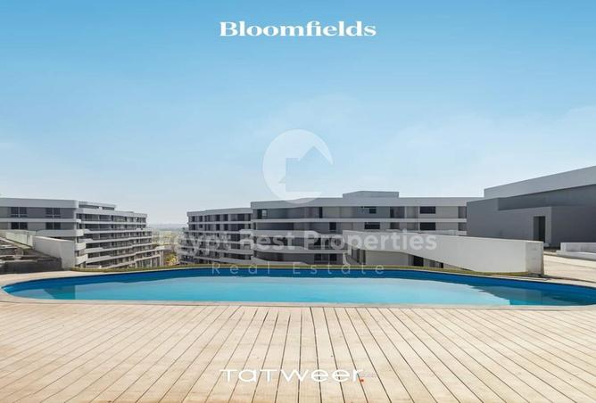 7993377 - Property Image 3