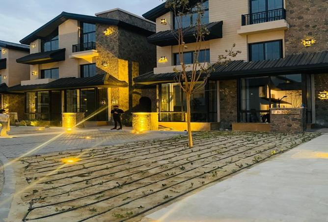 7990795 - Property Image 3