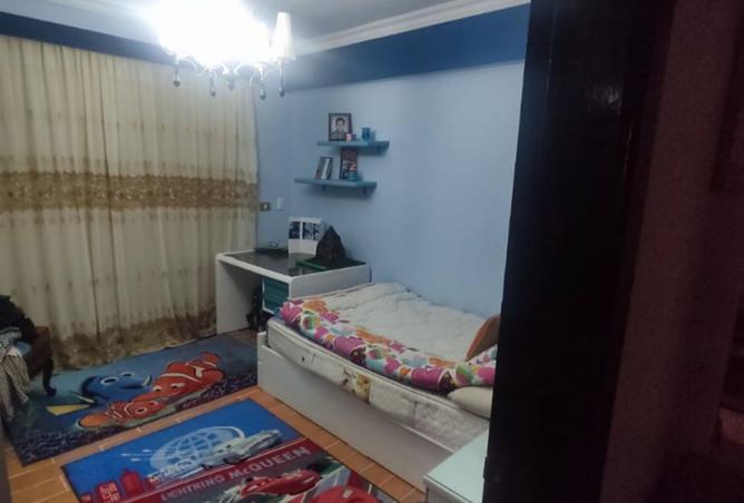 8240494 - Property Image 3