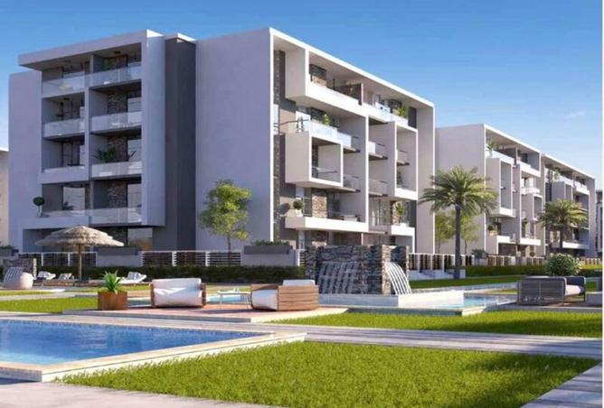 8461772 - Property Image 3