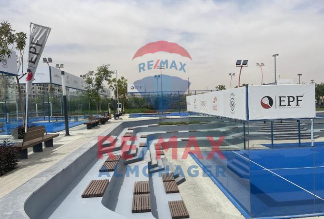 7990919 - Property Image 3