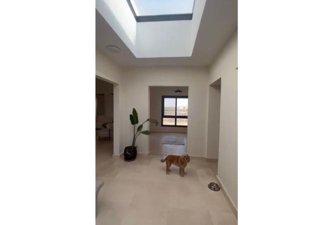 8465734 - Property Image 2