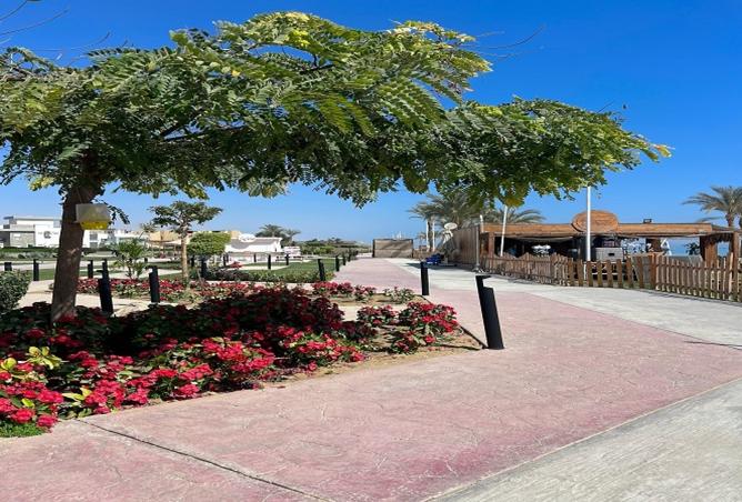 8430684 - Property Image 2