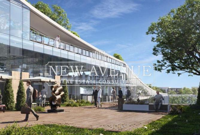 8154441 - Property Image 3