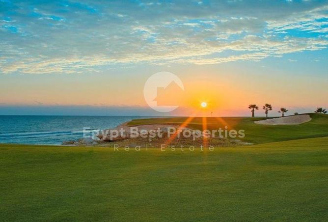 8432571 - صورة العقار 2