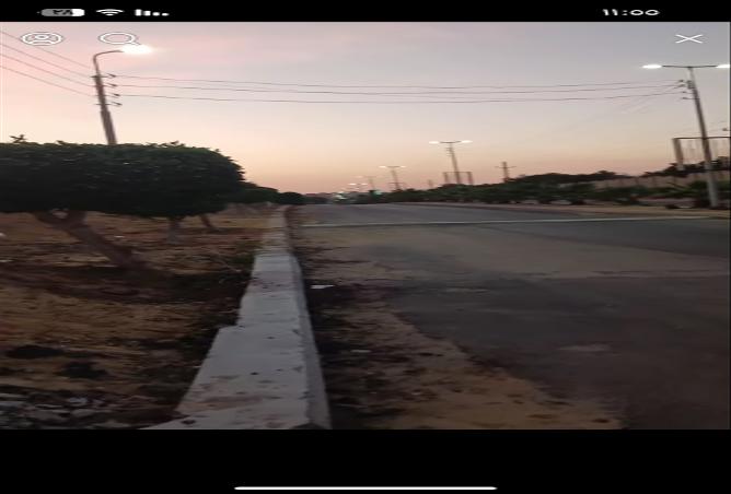 8334605 - Property Image 3