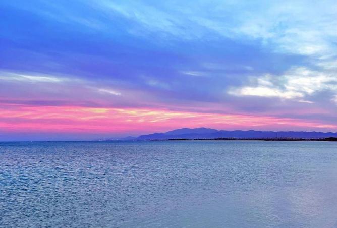 8287065 - صورة العقار 2