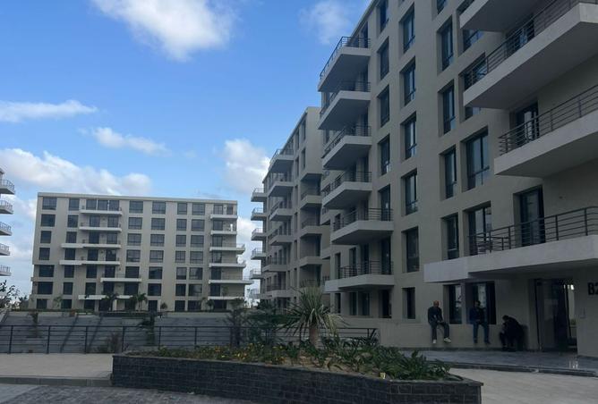 8538592 - Property Image 3