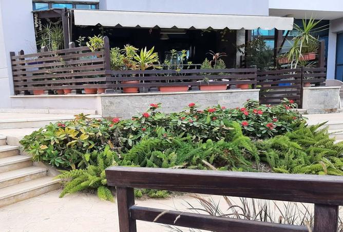 8554116 - Property Image 2