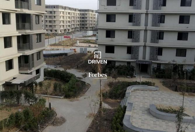 8409397 - صورة العقار 3